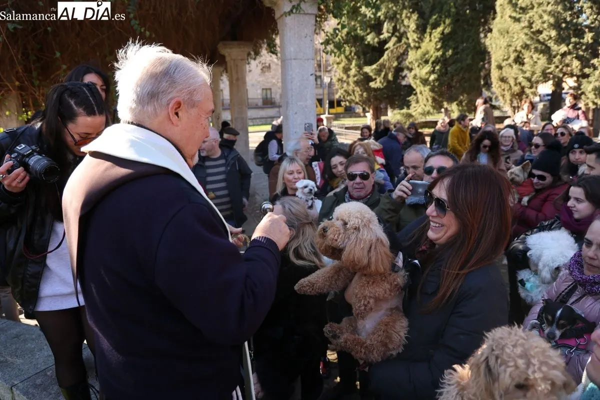 Tradicional bendición de los animales en el parque de San Francisco. Foto de David Sañudo
