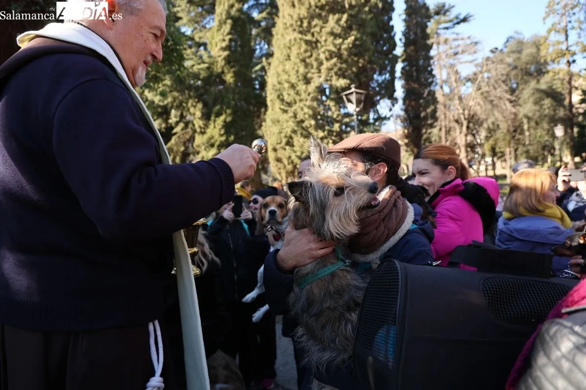 Tradicional bendición de los animales en el parque de San Francisco. Foto de David Sañudo
