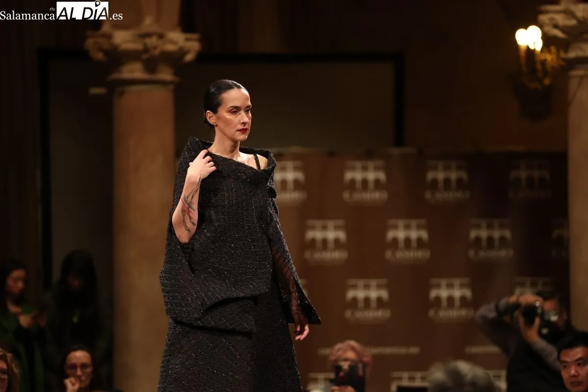 Desfile de Moda 