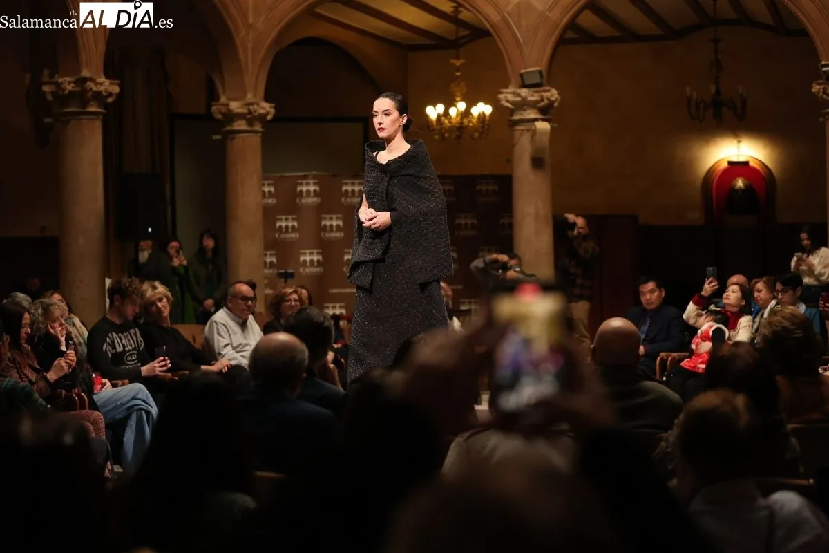 Desfile de Moda 
