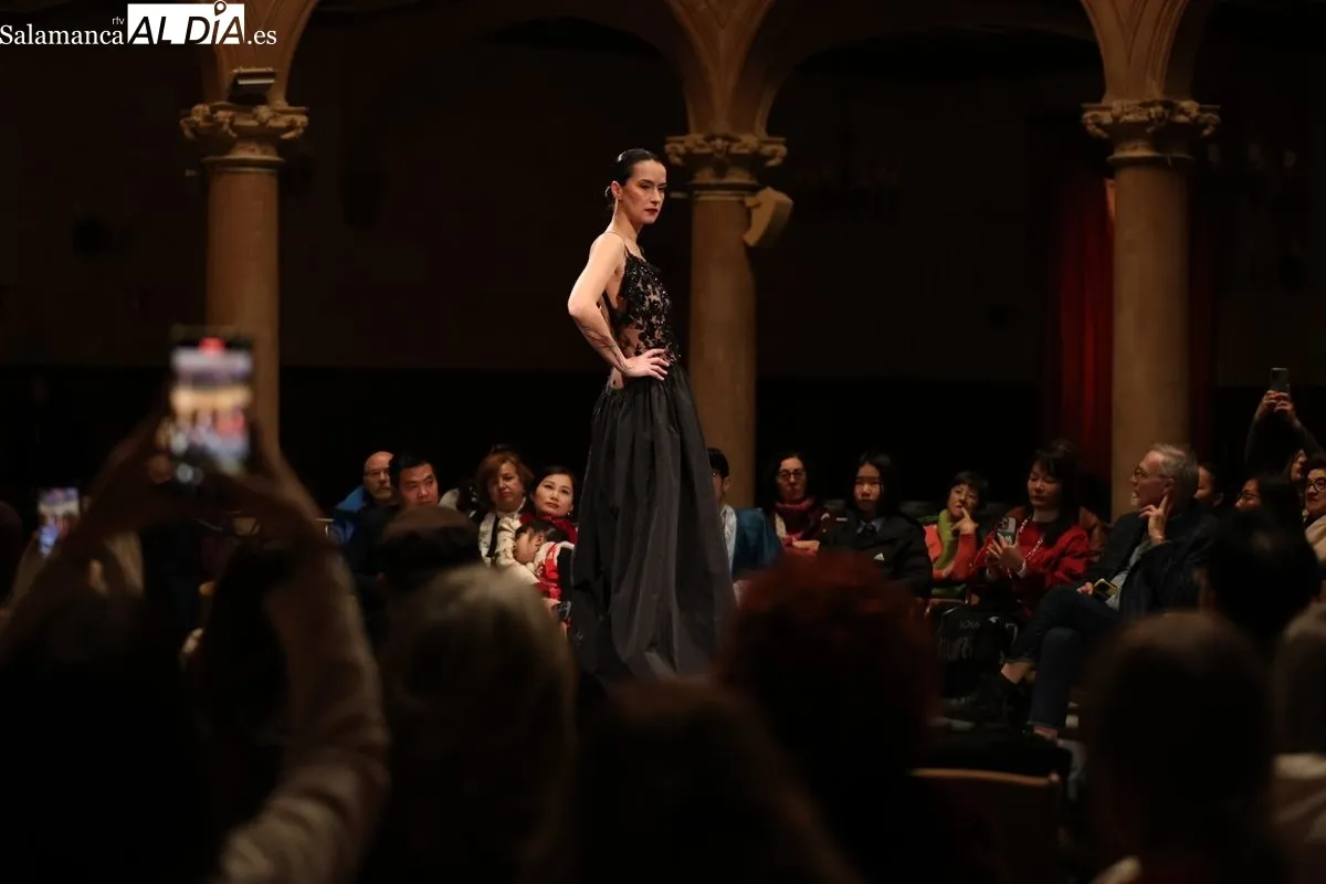 Desfile de Moda 