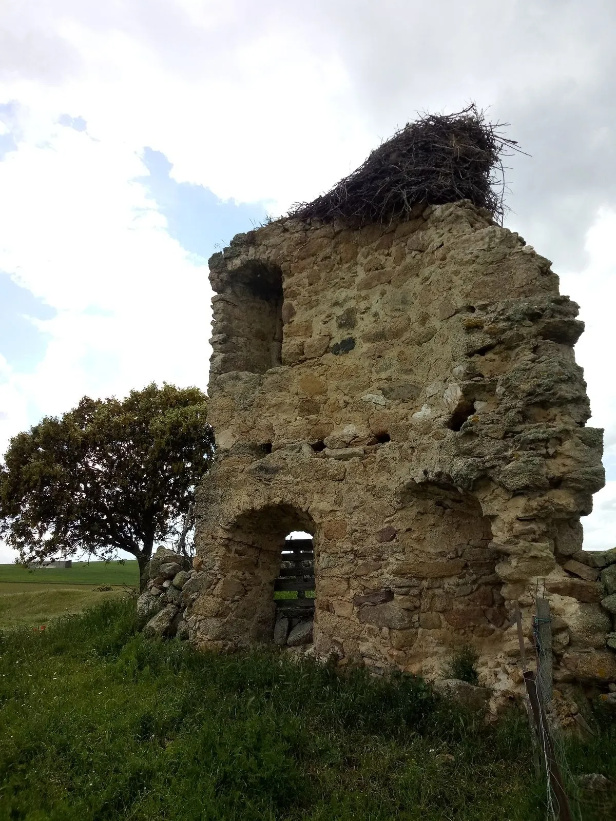 Castillo de Buenamadre. Foto UPL