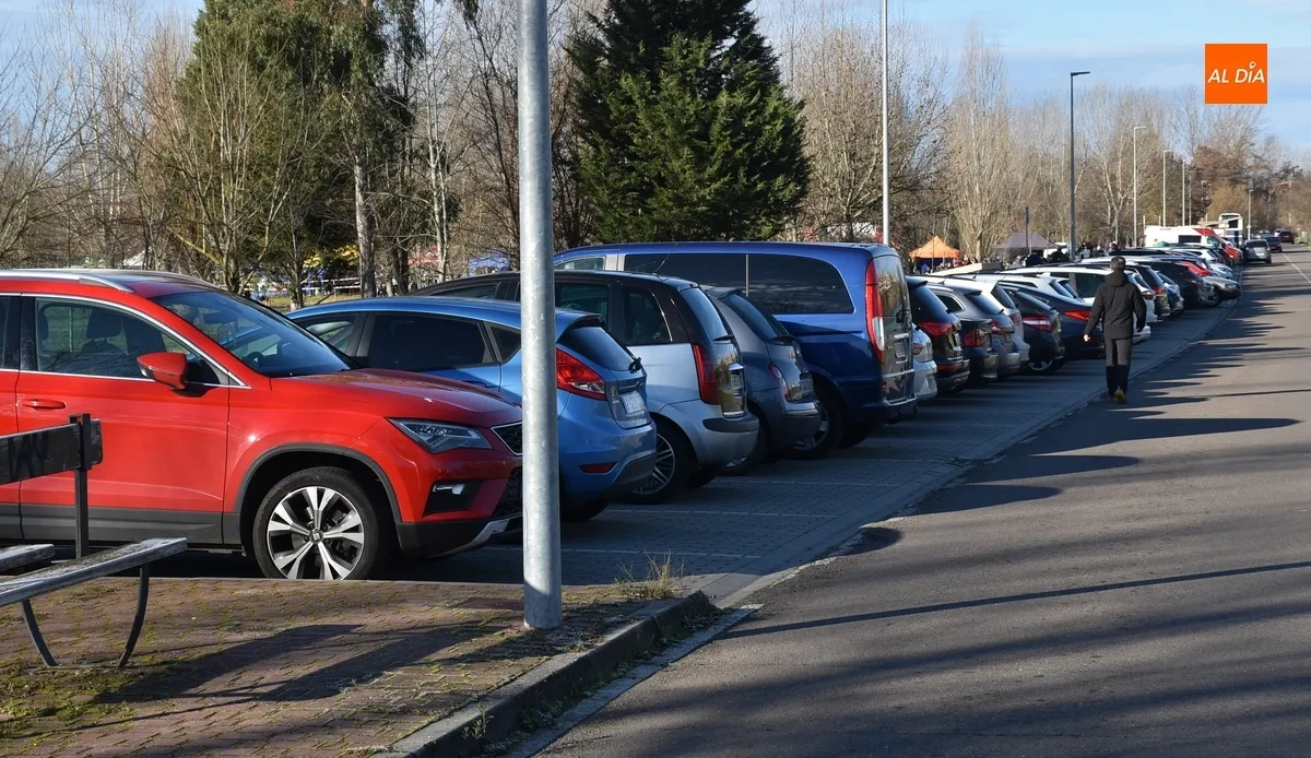 Foto 2 - 354 ni&ntilde;os y j&oacute;venes de toda la provincia dan lo mejor de s&iacute; corriendo en la Alameda Vieja