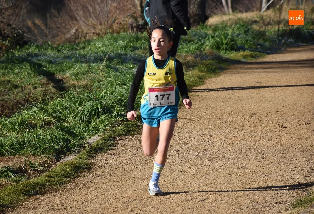 Foto 3 - 354 ni&ntilde;os y j&oacute;venes de toda la provincia dan lo mejor de s&iacute; corriendo en la Alameda Vieja