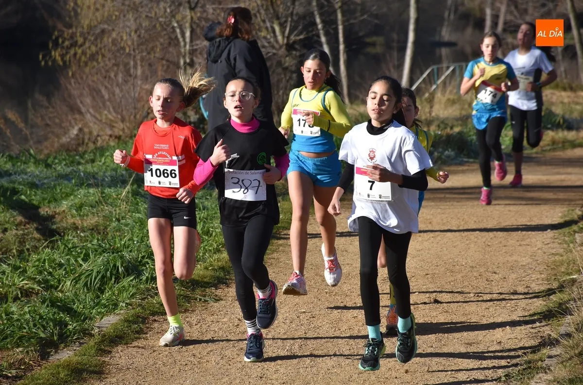 Foto 4 - 354 ni&ntilde;os y j&oacute;venes de toda la provincia dan lo mejor de s&iacute; corriendo en la Alameda Vieja