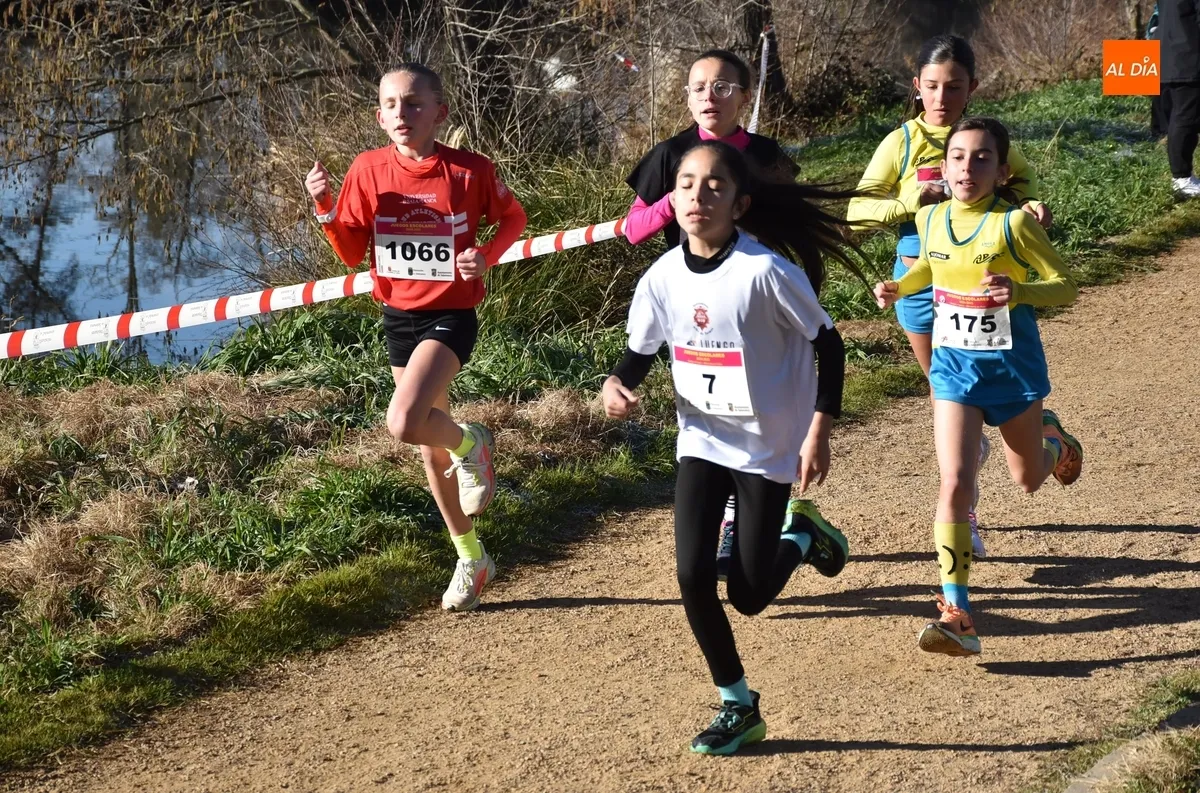 Foto 5 - 354 ni&ntilde;os y j&oacute;venes de toda la provincia dan lo mejor de s&iacute; corriendo en la Alameda Vieja