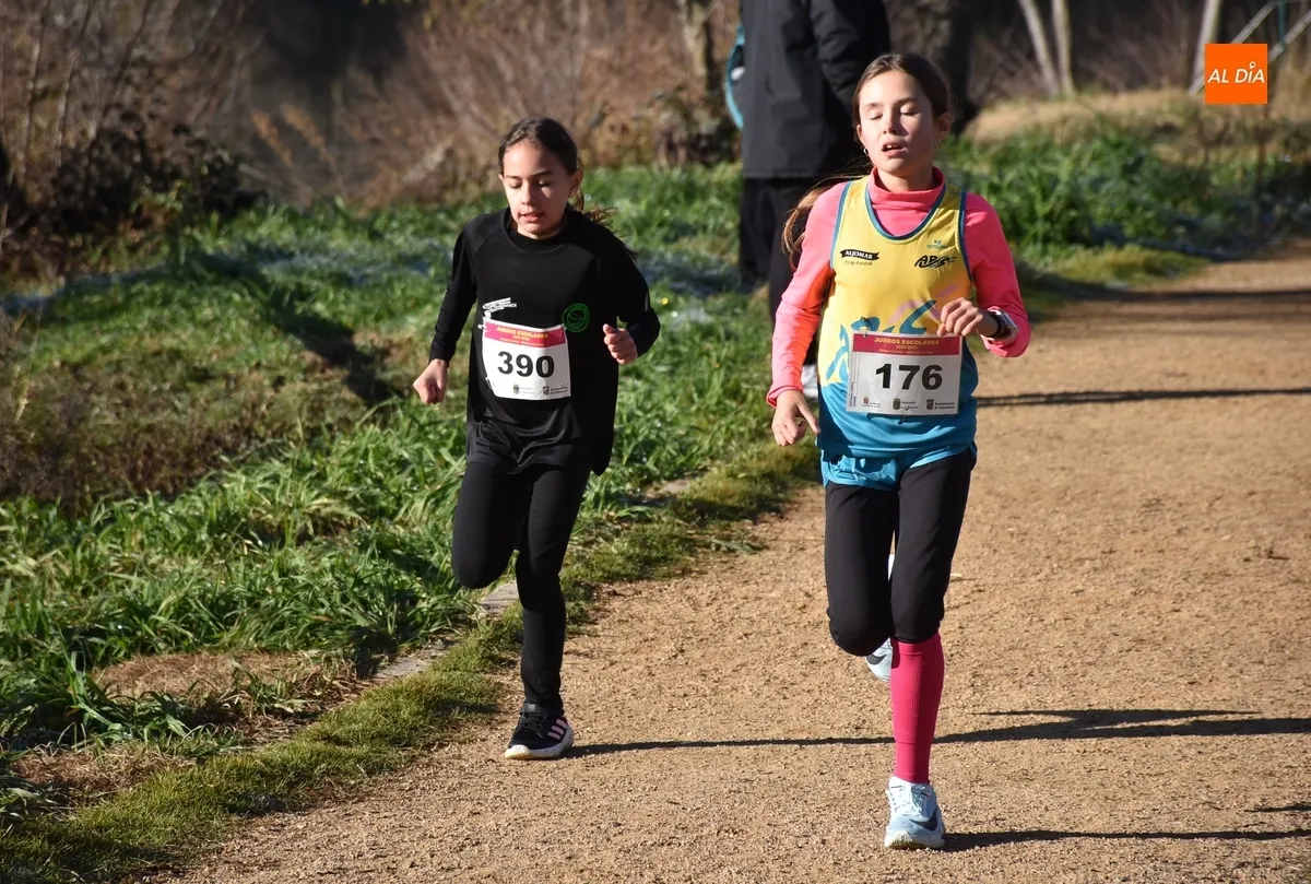 Foto 7 - 354 ni&ntilde;os y j&oacute;venes de toda la provincia dan lo mejor de s&iacute; corriendo en la Alameda Vieja