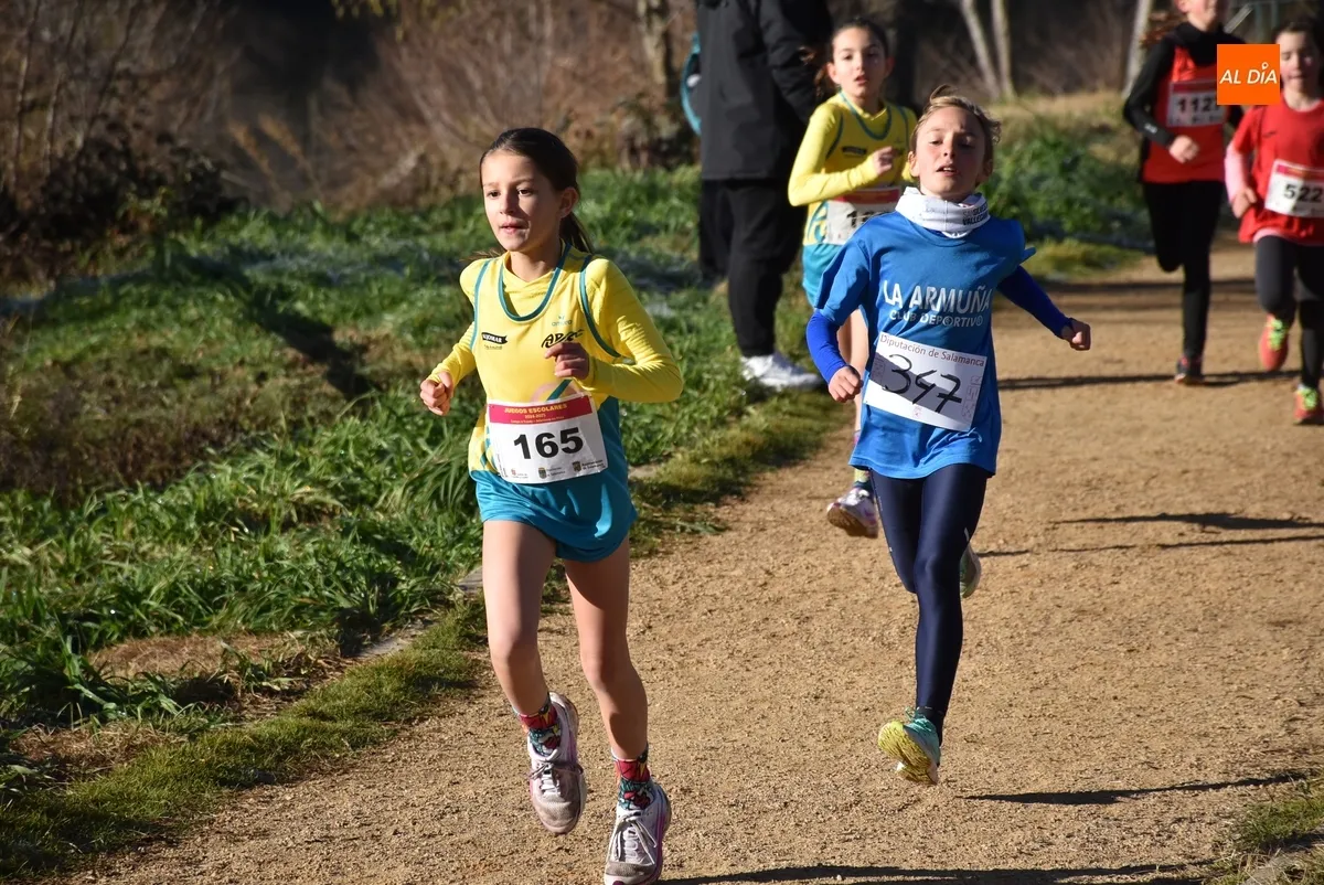 Foto 10 - 354 ni&ntilde;os y j&oacute;venes de toda la provincia dan lo mejor de s&iacute; corriendo en la Alameda Vieja