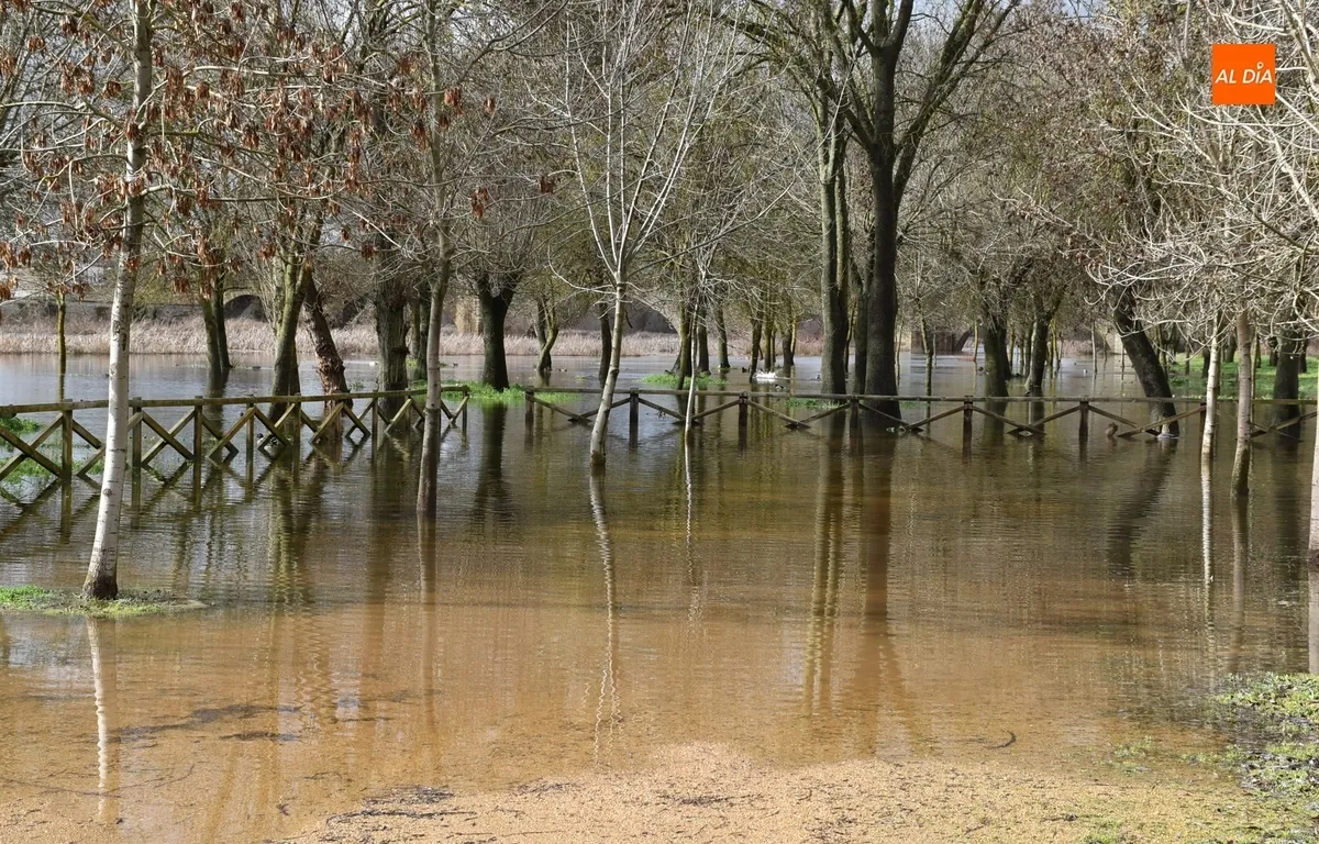 Foto 6 - El &Aacute;gueda multiplica por 12 su caudal tras las lluvias constantes de los &uacute;ltimos d&iacute;as