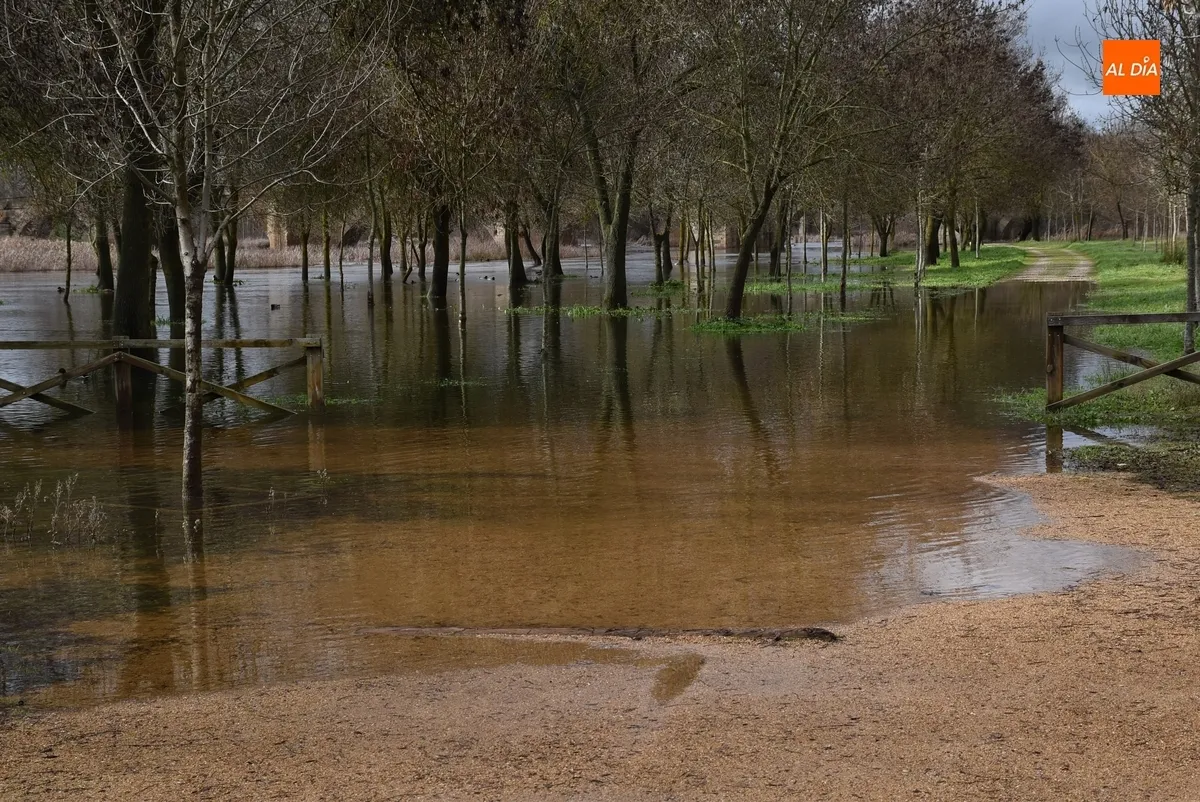 Foto 8 - El &Aacute;gueda multiplica por 12 su caudal tras las lluvias constantes de los &uacute;ltimos d&iacute;as