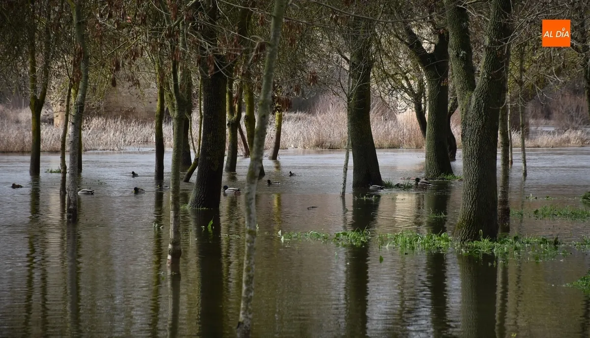 Foto 11 - El &Aacute;gueda multiplica por 12 su caudal tras las lluvias constantes de los &uacute;ltimos d&iacute;as