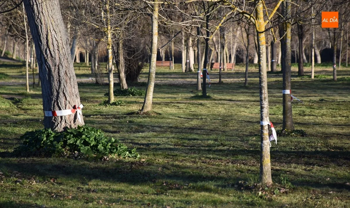 Foto 2 - Marcada la Alameda Vieja para la prueba de campo a trav&eacute;s que acoger&aacute; este domingo