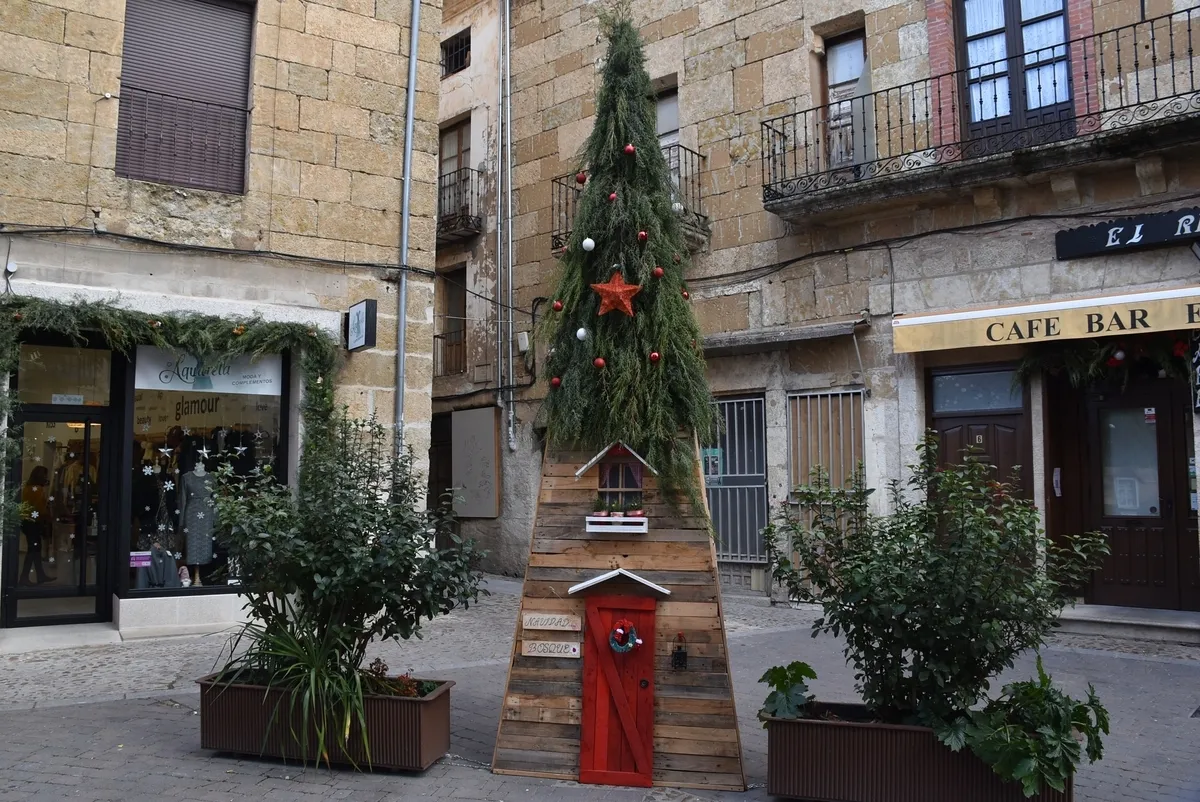 Foto 2 - Desvelados los ganadores del 9&ordm; Concurso de Decoraci&oacute;n Navide&ntilde;a del Ayuntamiento 
