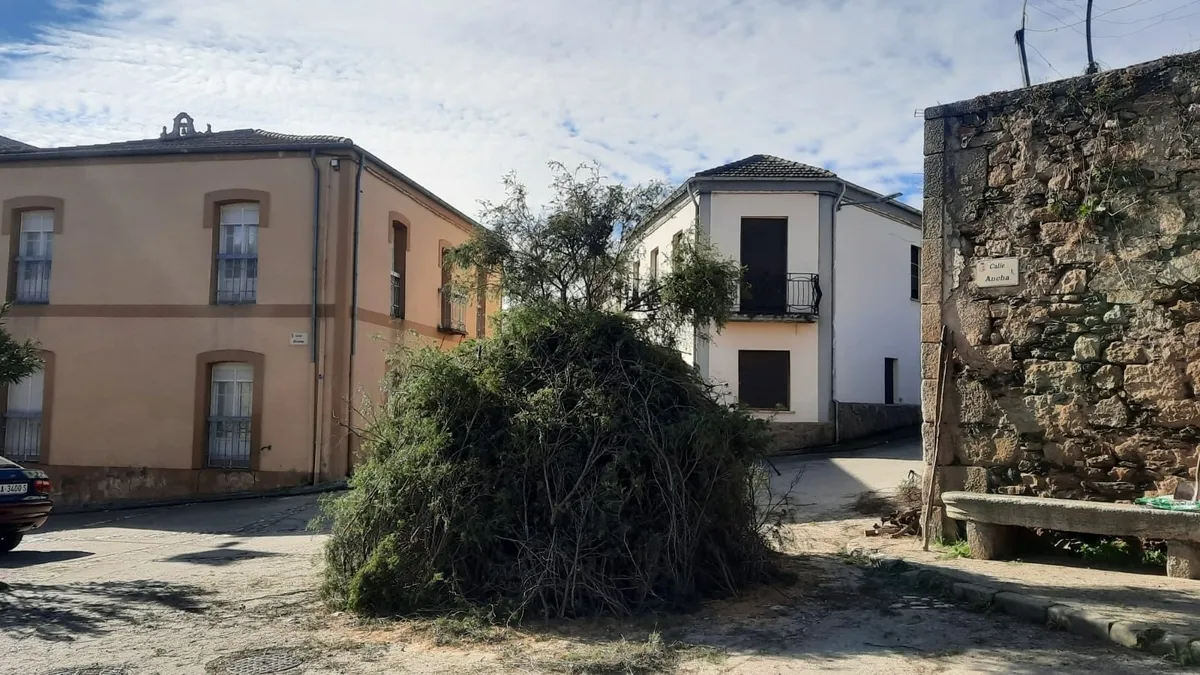 Hoguera de júmbrio antes de ser encendida