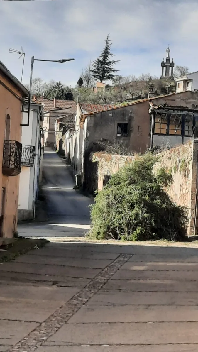 Hoguera de júmbrio antes de ser encendida