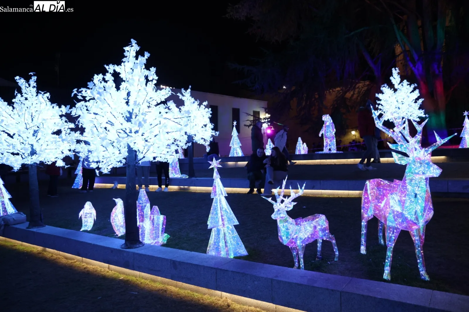  Salamanca disfruta de los últimos días de la iluminación navideña | Fotos: David Sañudo