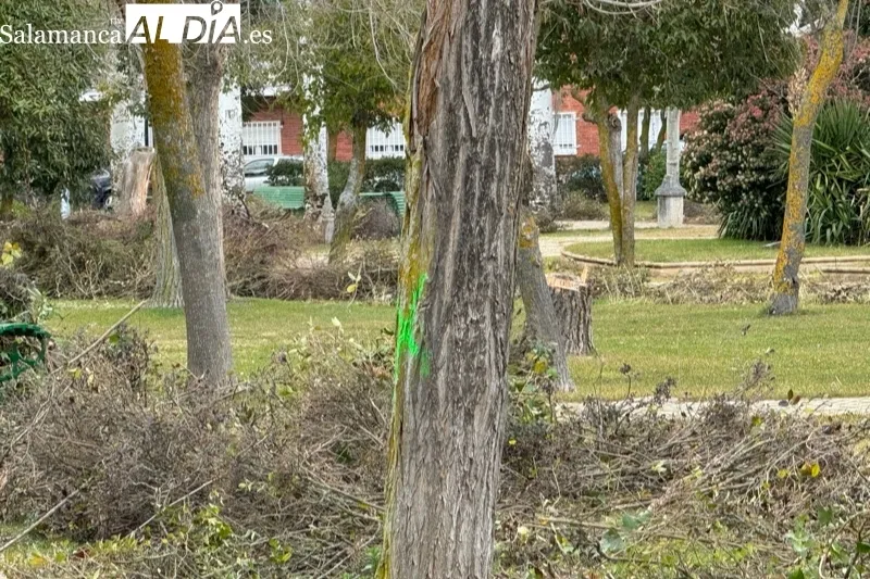 Comienzan las obras en el Parque Los Jardines de Peñaranda
