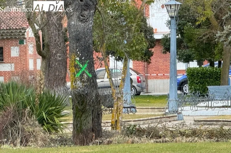 Comienzan las obras en el Parque Los Jardines de Peñaranda
