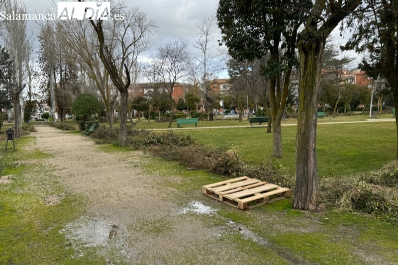 Comienzan las obras para la gran transformación del parque Los Jardines