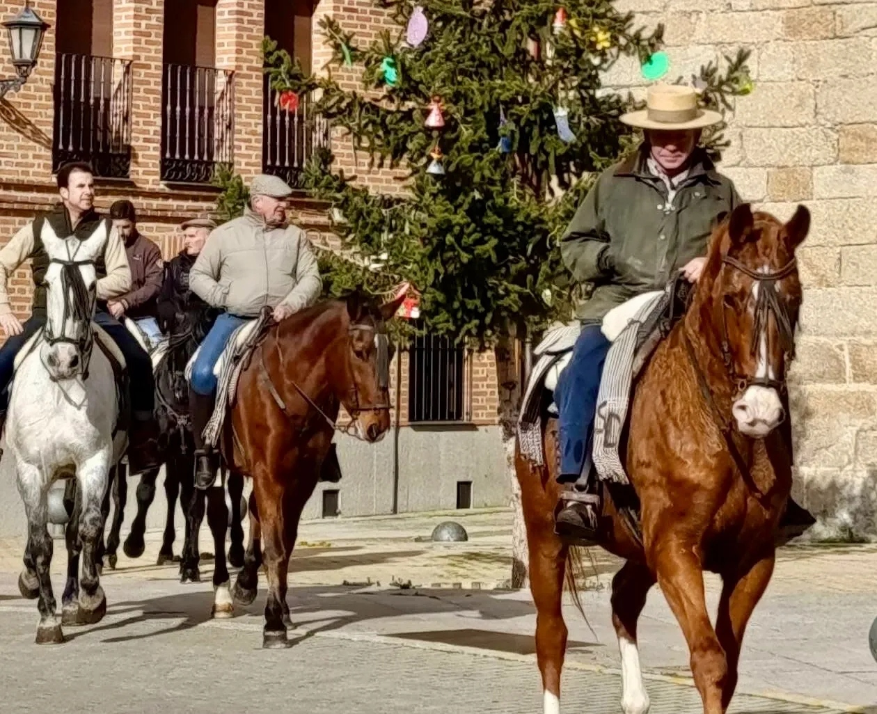 Macotera celebraba este sábado a San Antón. Fotos José Guerras