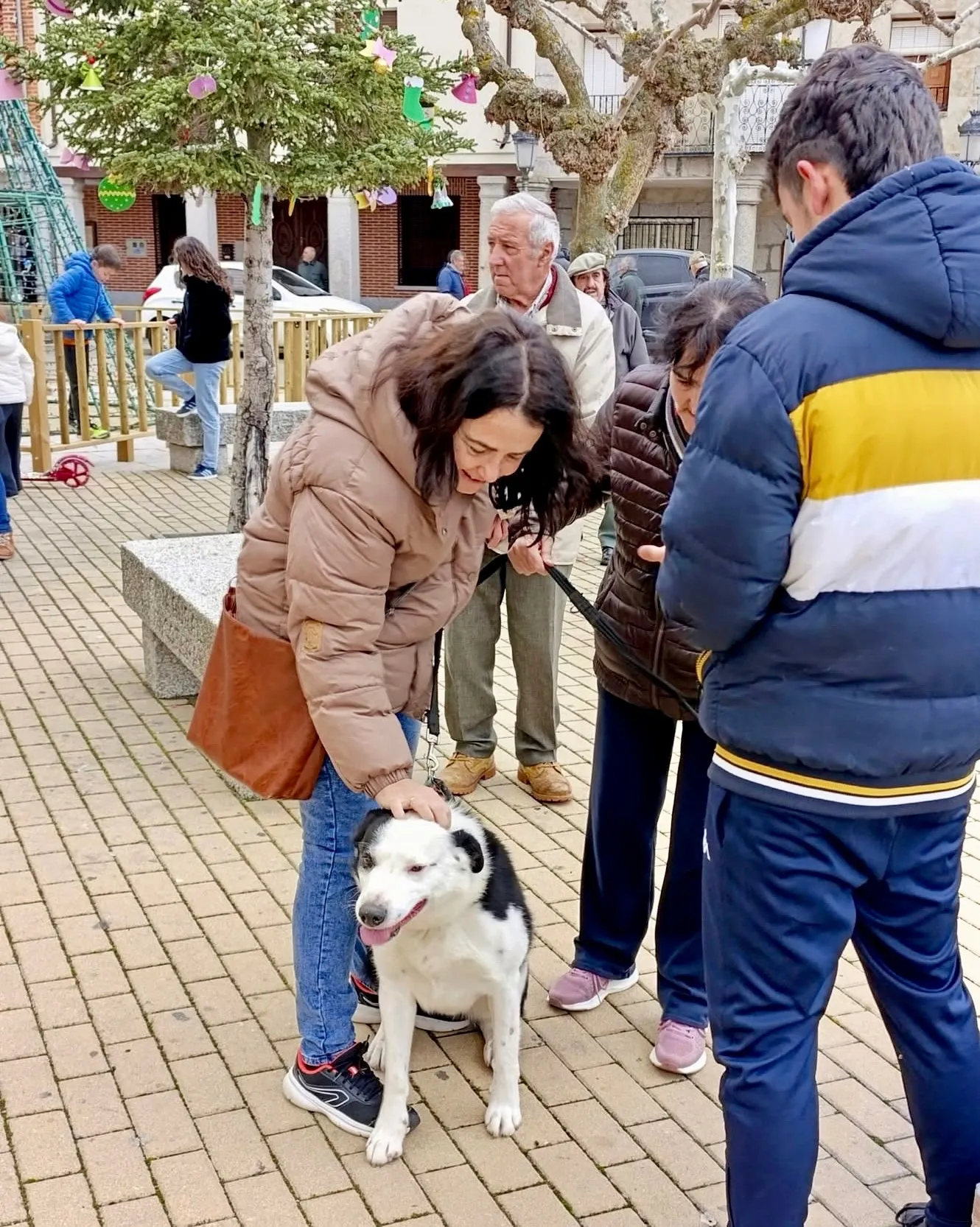 Macotera celebraba este sábado a San Antón. Fotos José Guerras