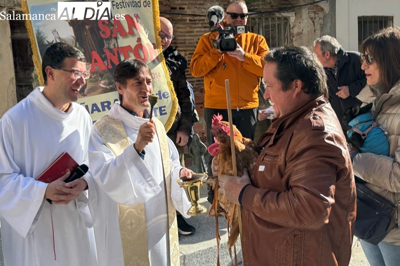 Gran ambiente durante la tradicion bendición y celebración de San Antón