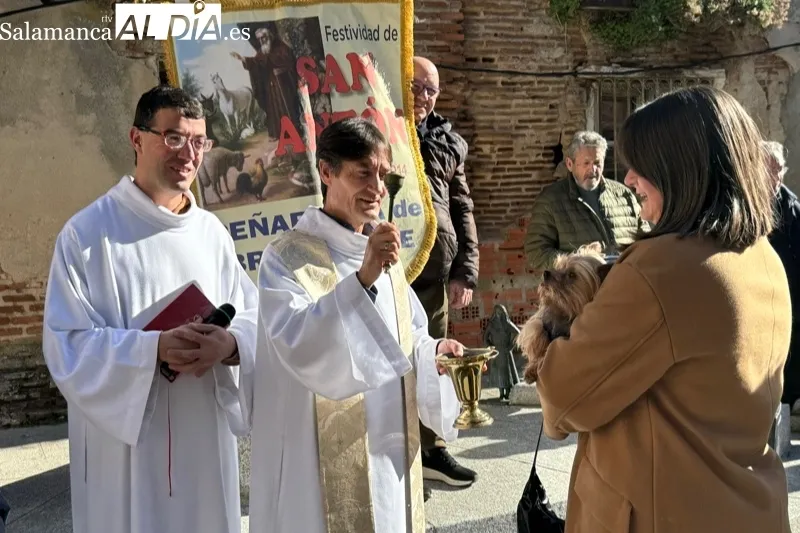 Peñaranda celebraba este sábado la bendición de San Antón