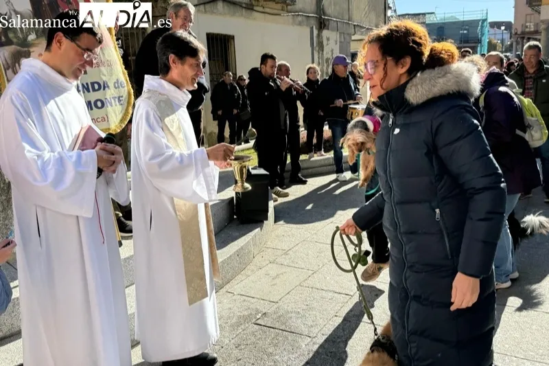 Peñaranda celebraba este sábado la bendición de San Antón
