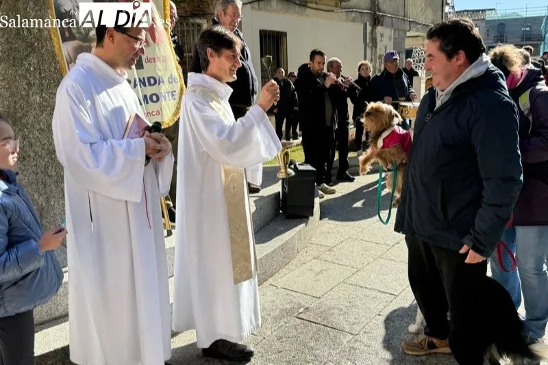 Peñaranda celebraba este sábado la bendición de San Antón