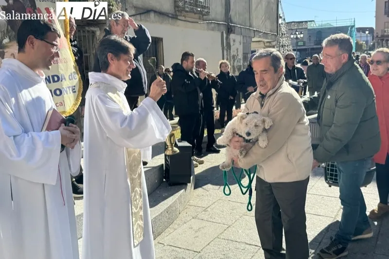 Peñaranda celebraba este sábado la bendición de San Antón