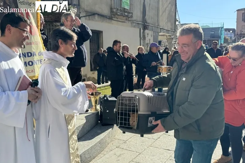 Peñaranda celebraba este sábado la bendición de San Antón