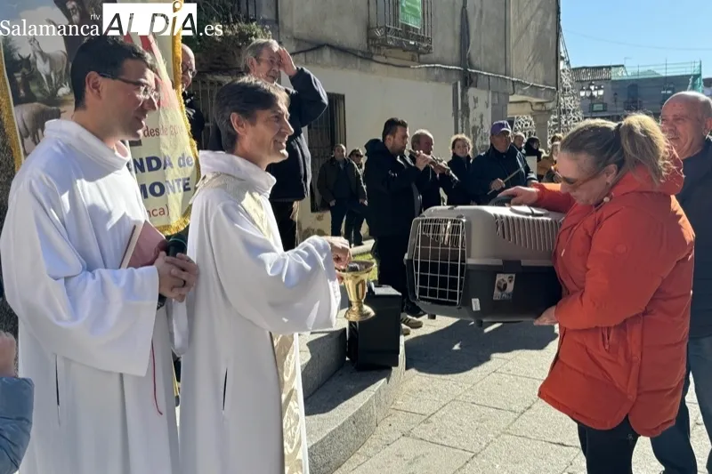 Peñaranda celebraba este sábado la bendición de San Antón
