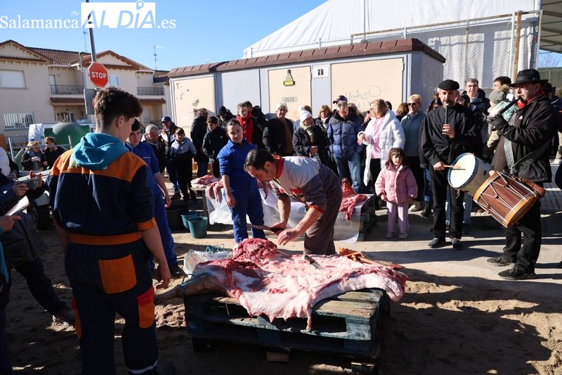 Fiesta de la Matanza Tradicional en Cabrerizos