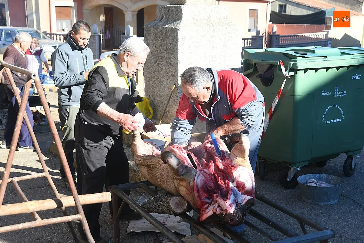 Matanza Tradicional del Cerdo en Cabrillas/ Fotos: Adrián M.Pastor