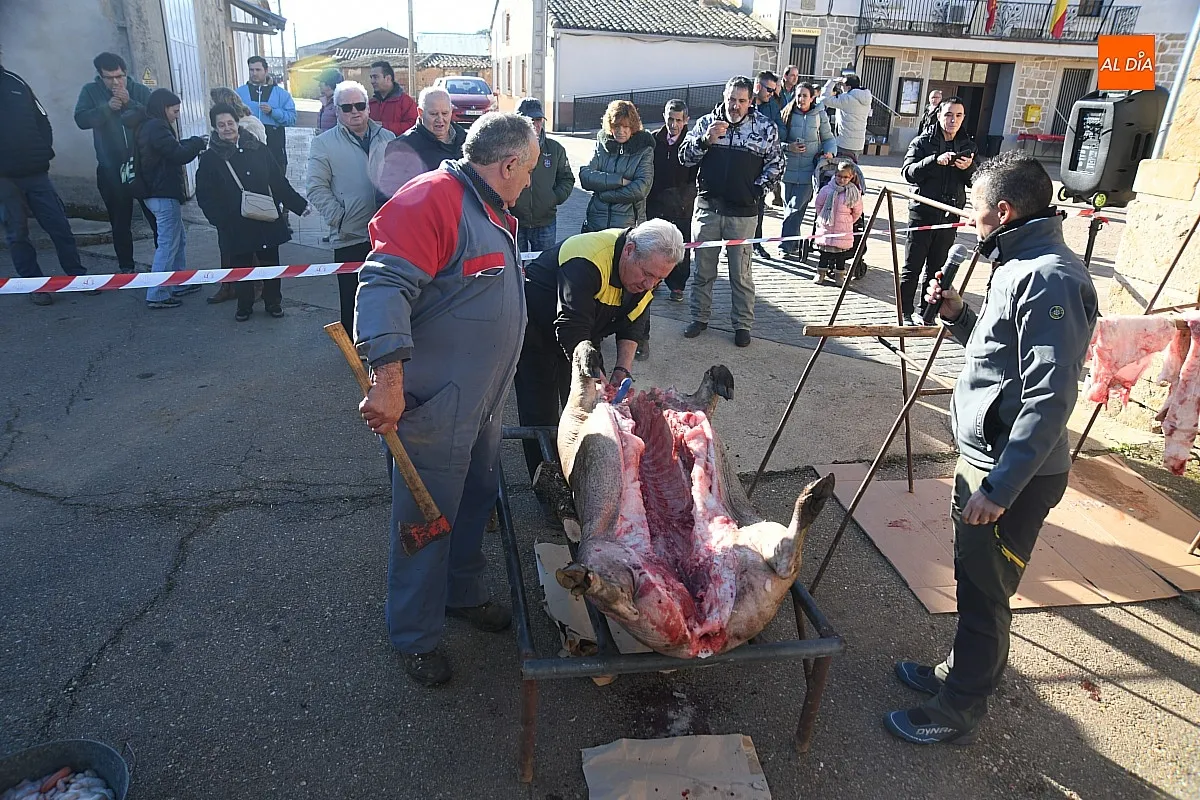 Matanza Tradicional del Cerdo en Cabrillas/ Fotos: Adrián M.Pastor