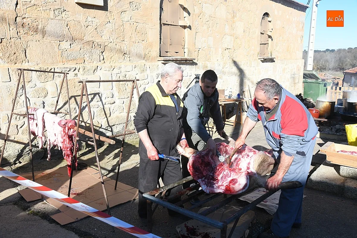 Matanza Tradicional del Cerdo en Cabrillas/ Fotos: Adrián M.Pastor