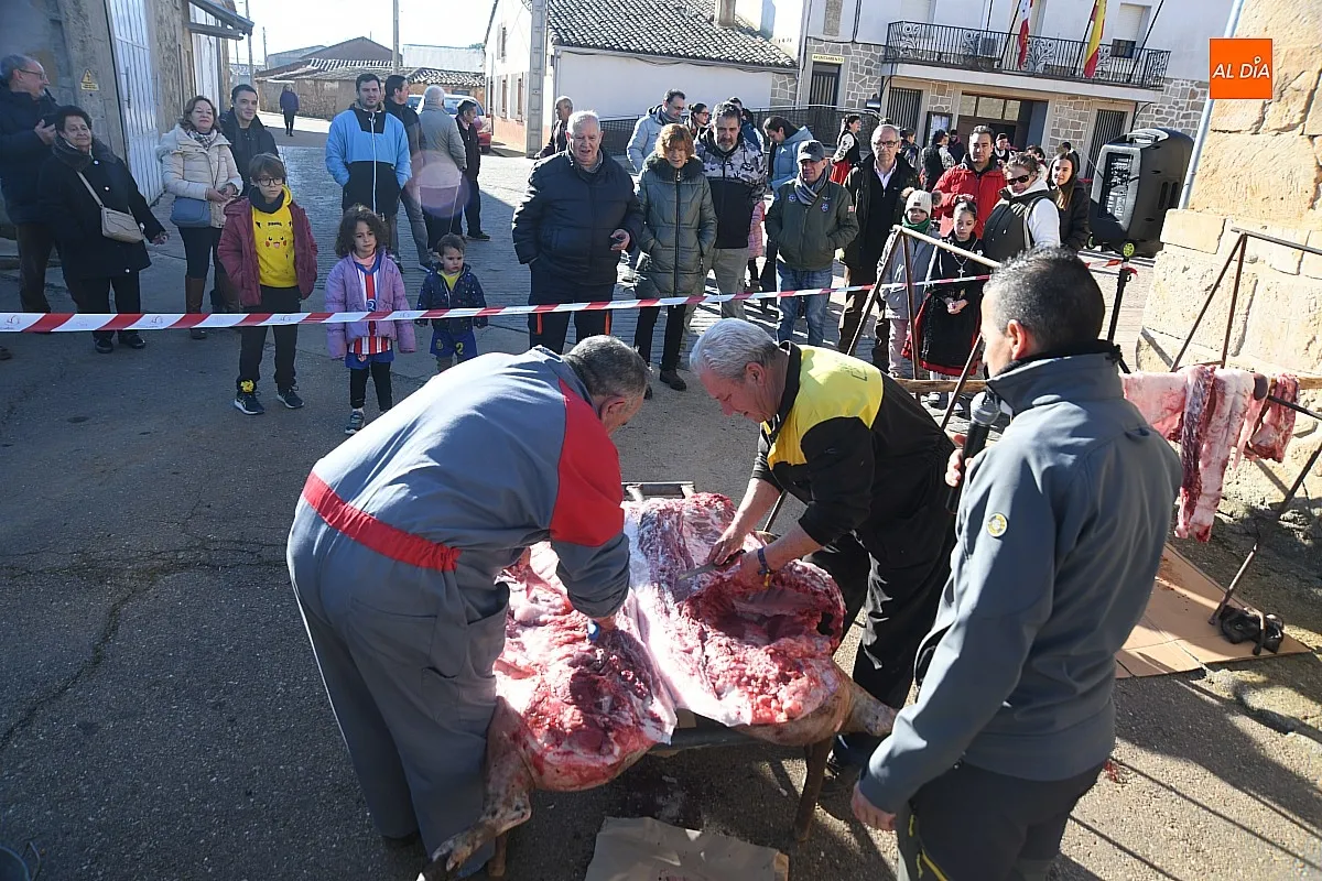 Matanza Tradicional del Cerdo en Cabrillas/ Fotos: Adrián M.Pastor
