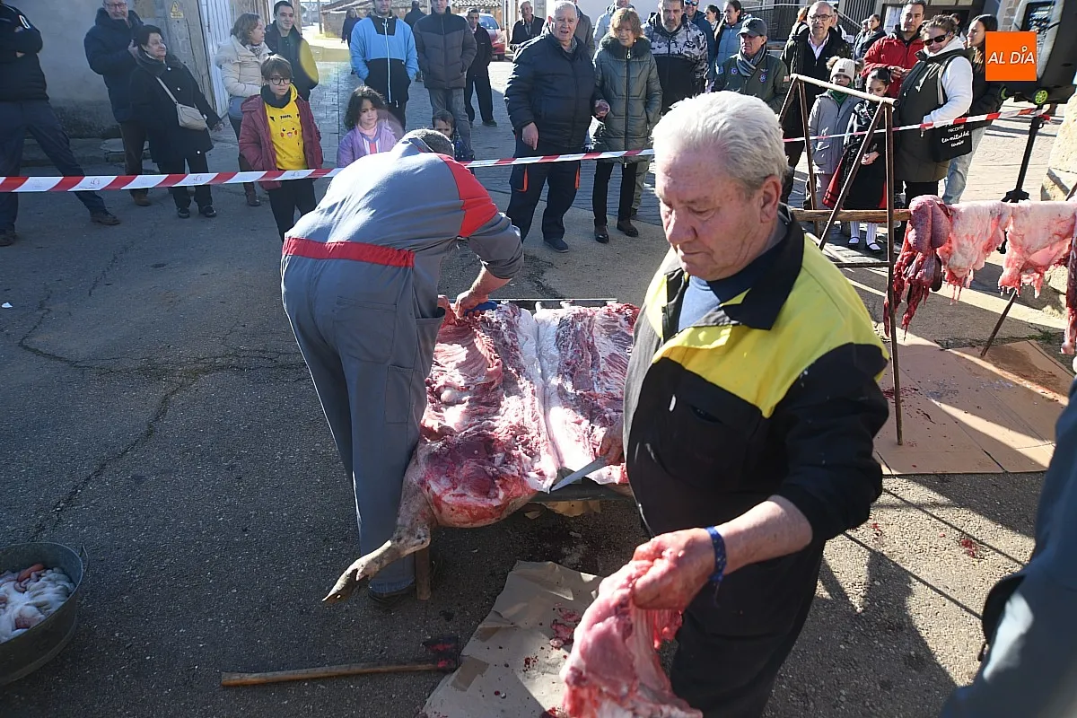 Matanza Tradicional del Cerdo en Cabrillas/ Fotos: Adrián M.Pastor