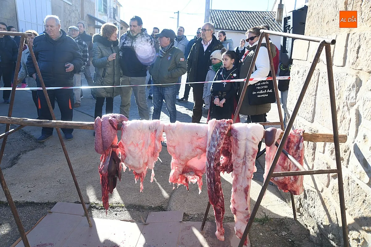 Matanza Tradicional del Cerdo en Cabrillas/ Fotos: Adrián M.Pastor