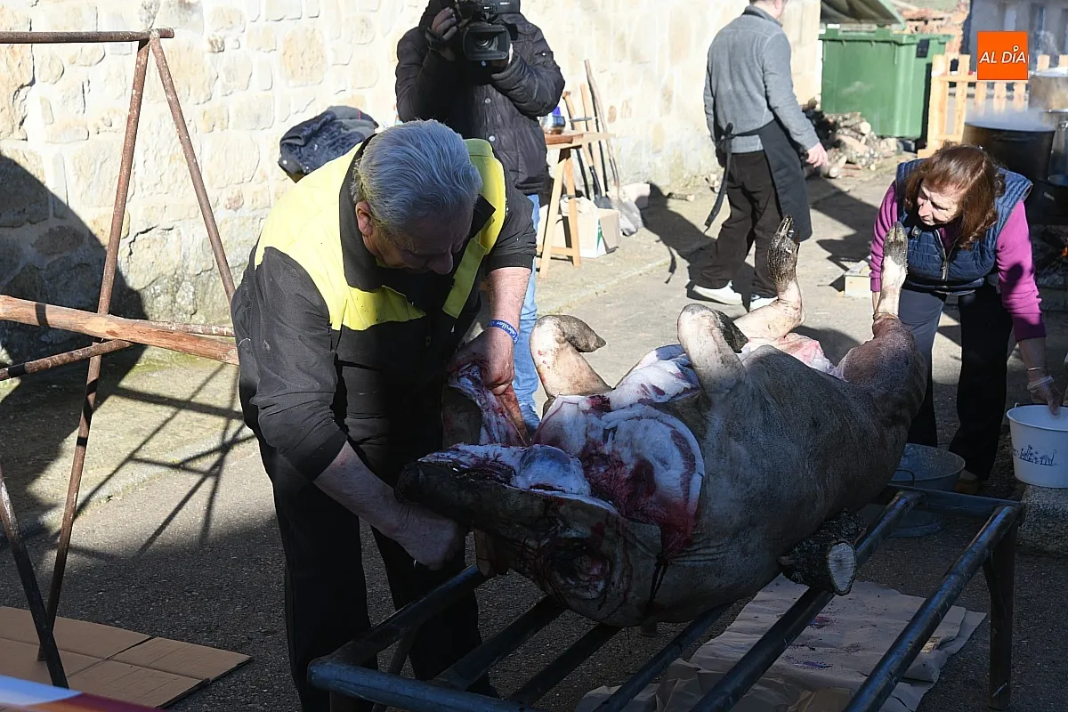 Matanza Tradicional del Cerdo en Cabrillas/ Fotos: Adrián M.Pastor
