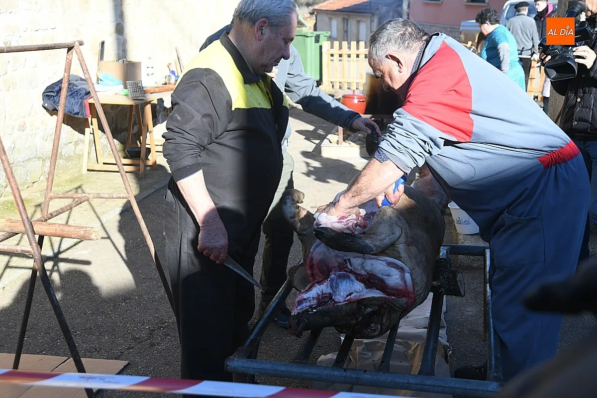 Matanza Tradicional del Cerdo en Cabrillas/ Fotos: Adrián M.Pastor