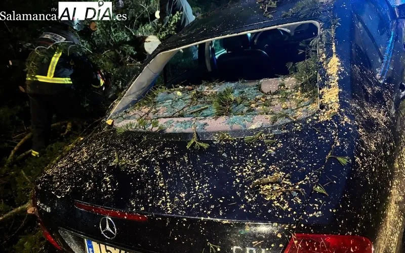 Foto 2 - FOTOS | Cae un &aacute;rbol de grandes dimensiones encima de un coche en Alba de Tormes