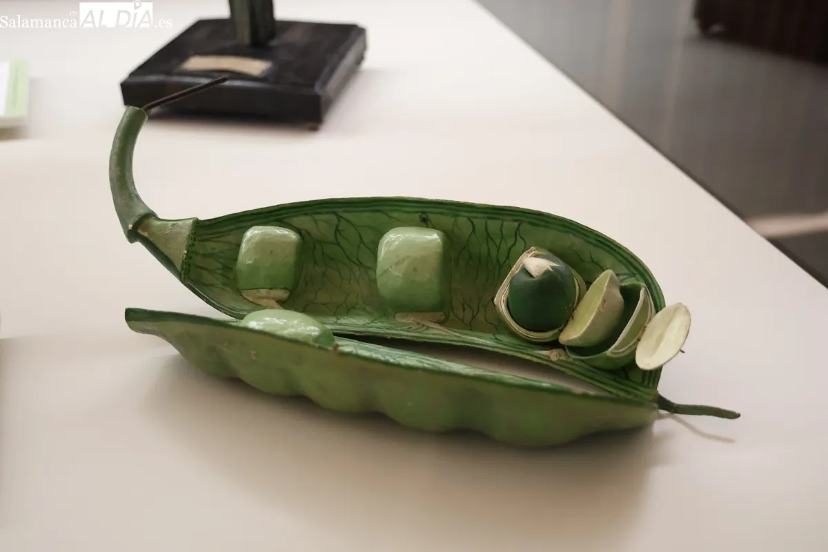 Colección histórica de modelos botánicos de la Universidad de Salamanca | Fotos: David Sañudo