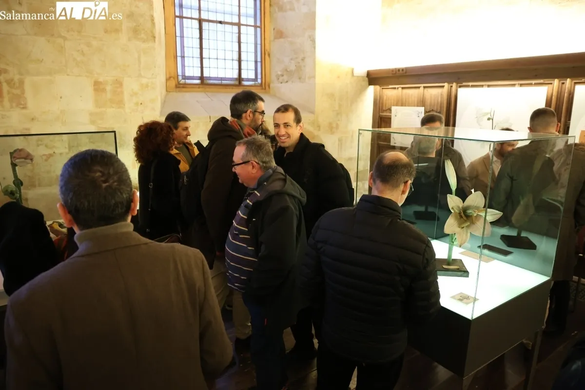 Colección histórica de modelos botánicos de la Universidad de Salamanca | Fotos: David Sañudo