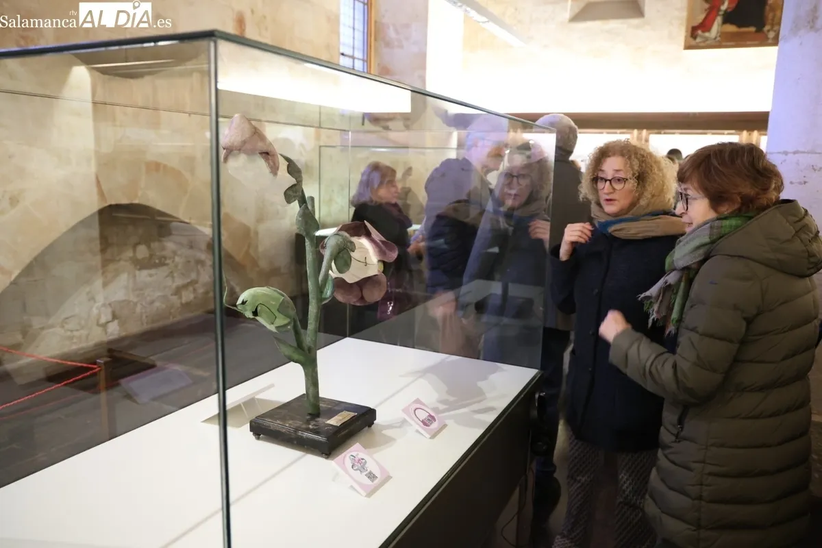 Colección histórica de modelos botánicos de la Universidad de Salamanca | Fotos: David Sañudo