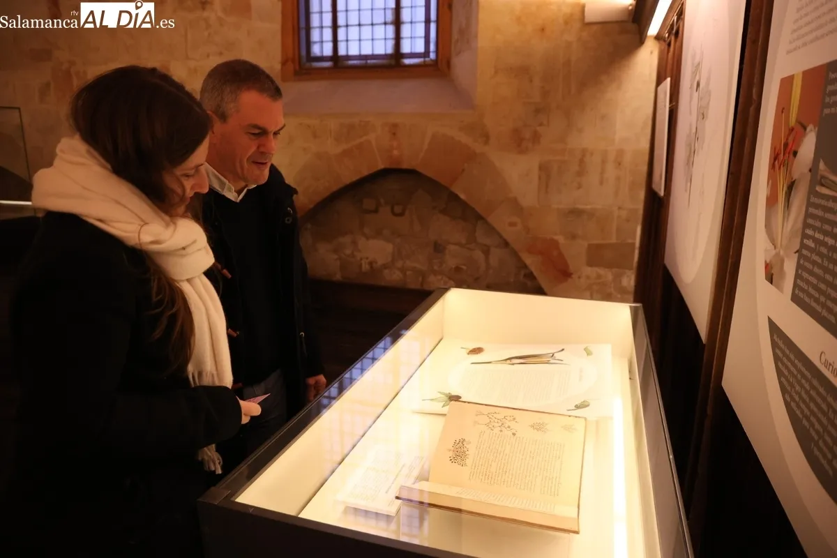 Colección histórica de modelos botánicos de la Universidad de Salamanca | Fotos: David Sañudo