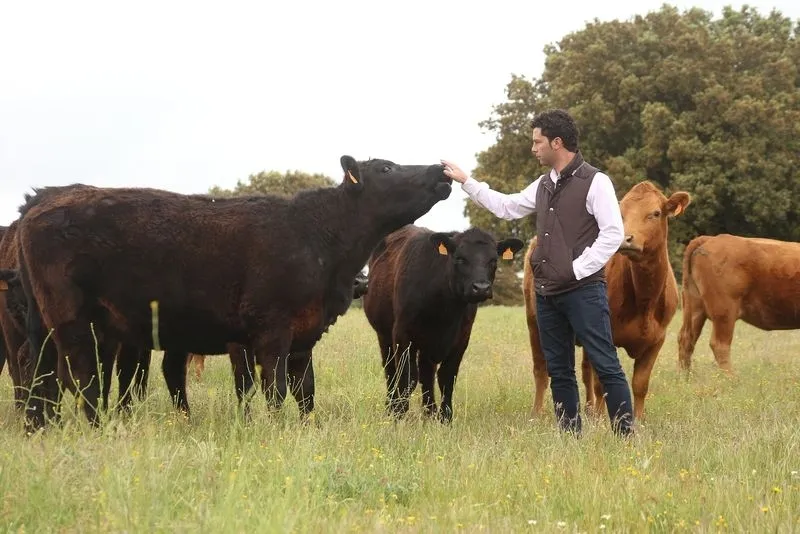 Foto 6 - Dehesa de Alba: sabor, ternura y jugosidad de la raza Angus