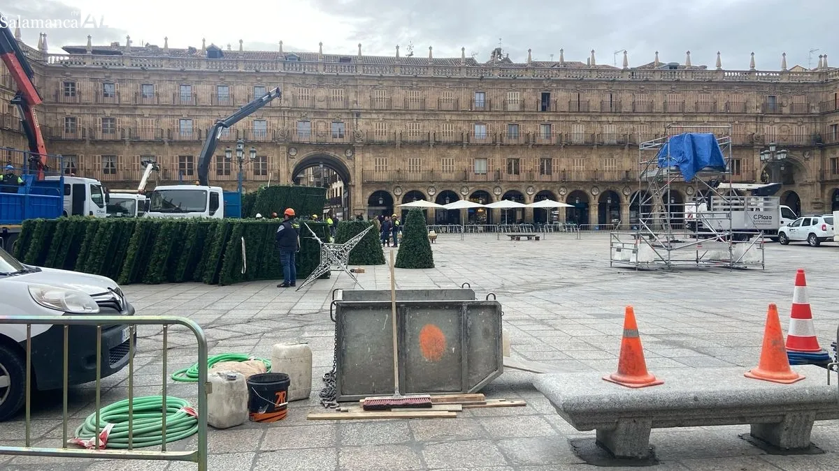Desmontaje del árbol de Navidad en la Plaza Mayor de Salamanca. Foto de Vanesa Martins