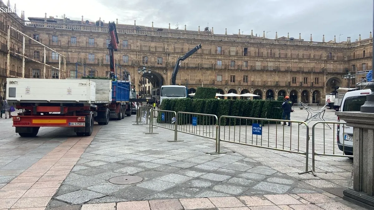 Desmontaje del árbol de Navidad en la Plaza Mayor de Salamanca. Foto de Vanesa Martins