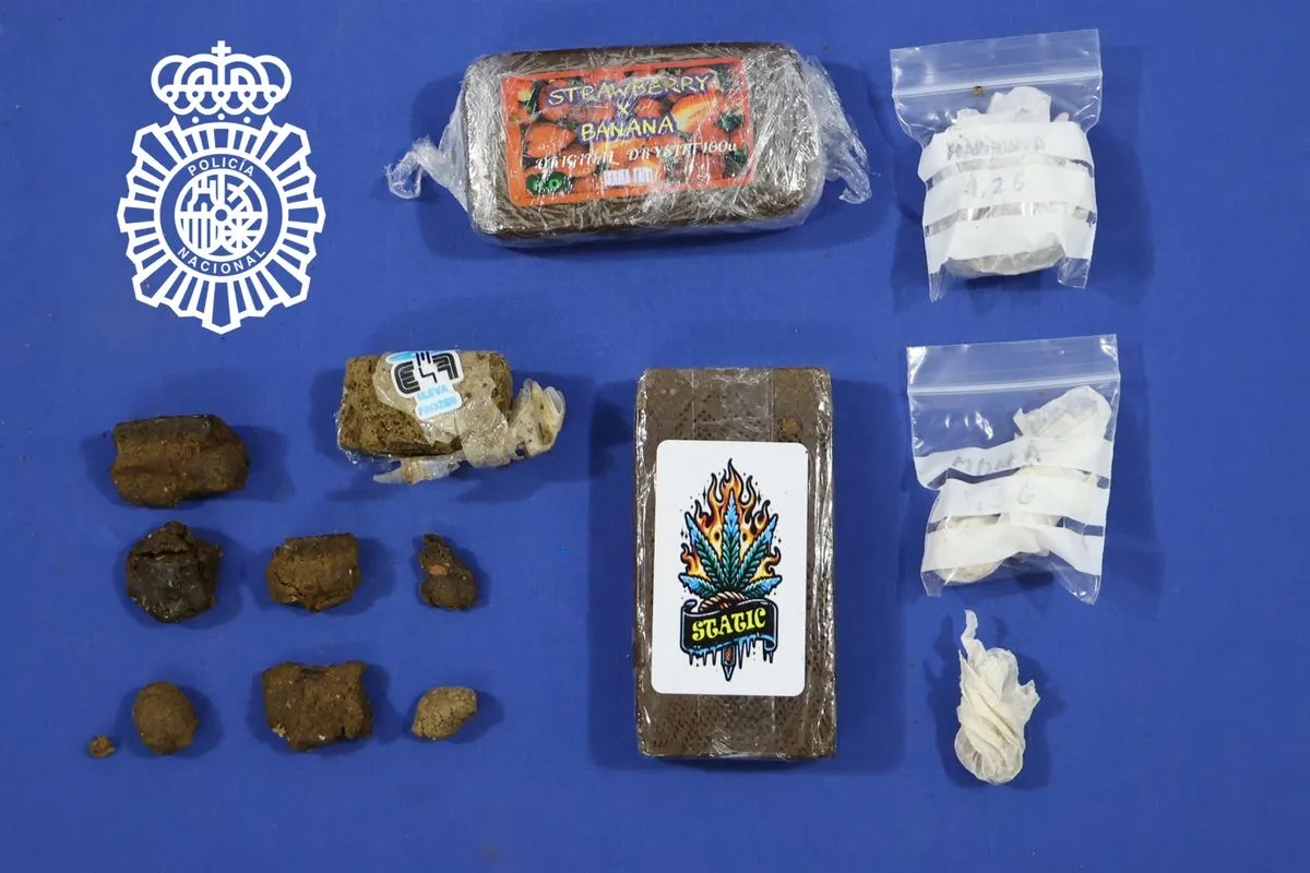 Droga incautada en esta intervención. Foto CNP
